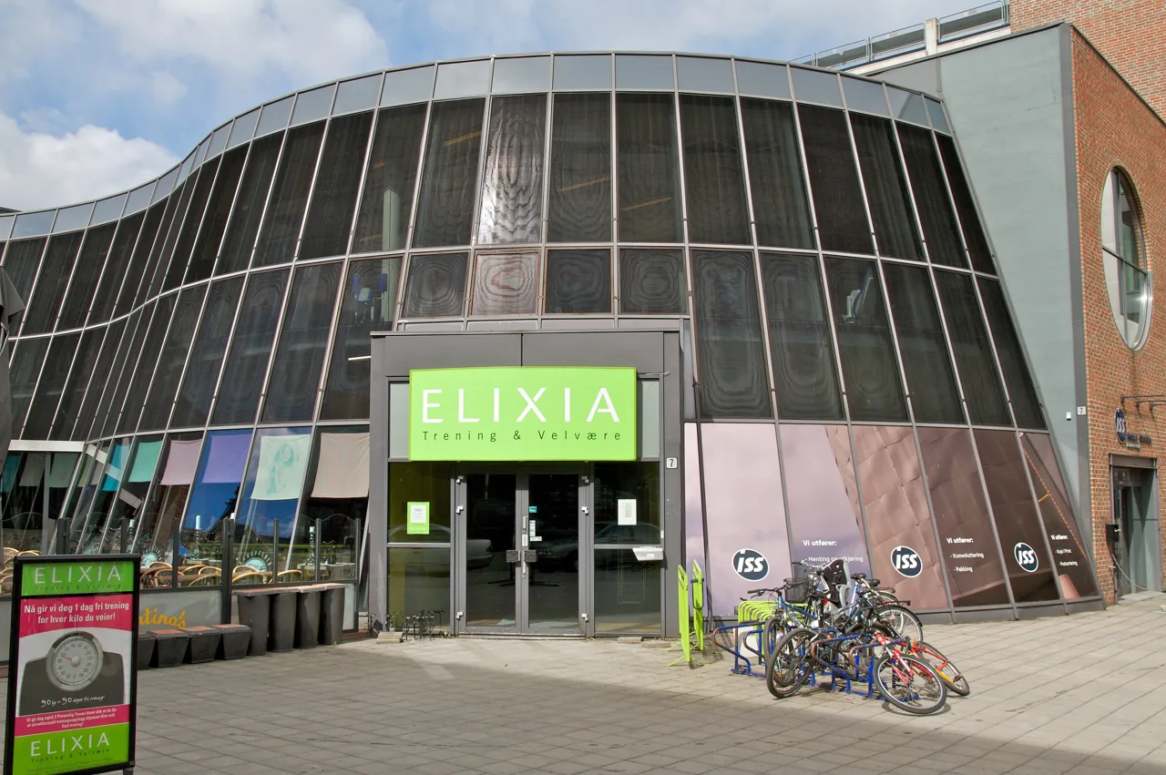 Elixia flexella (Elixia flexella) — photo mycologique