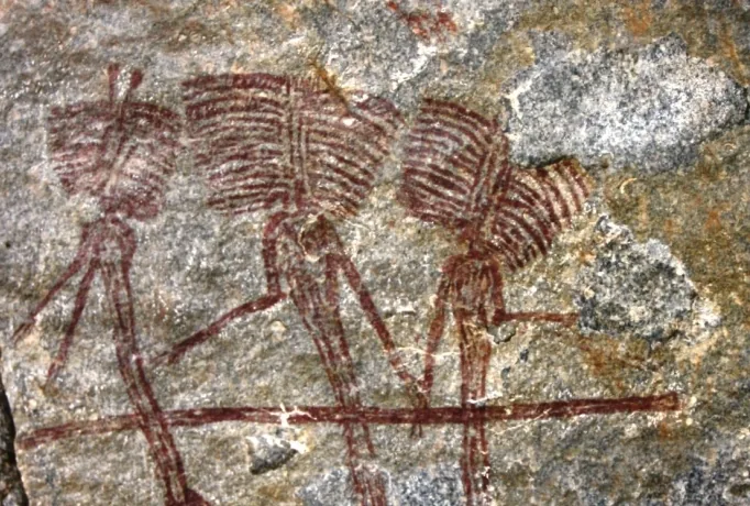 Kondoa aeria (Kondoa aeria) — photo mycologique