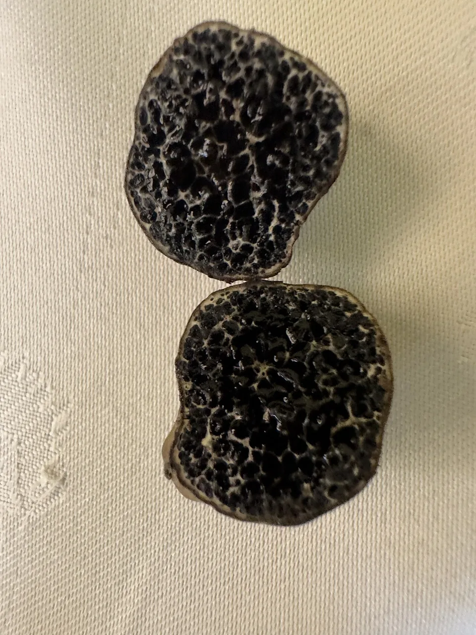 Melanogaster broomeanus (Melanogaster broomeanus) — photo mycologique