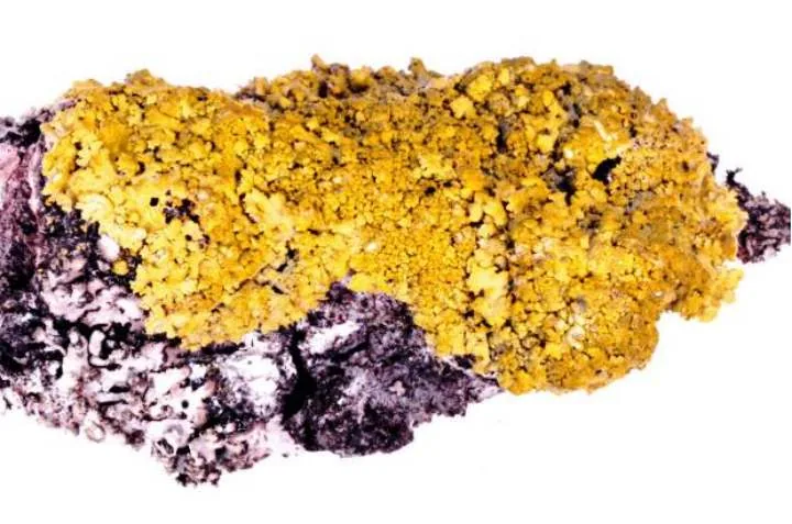 Opeltiella rubrisoli (Opeltiella rubrisoli) — photo mycologique