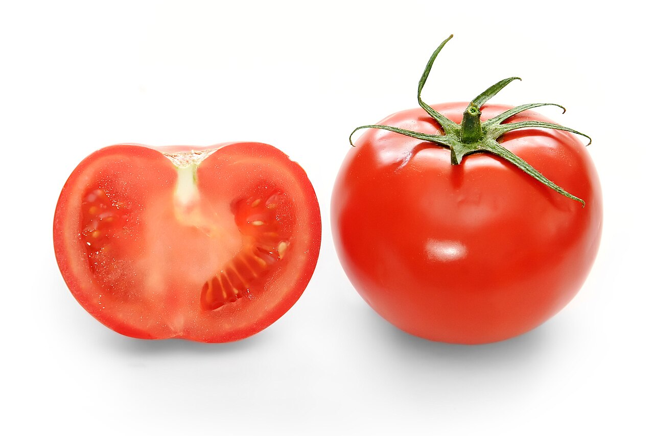 Tomate (Solanum lycopersicum) — photo botanique
